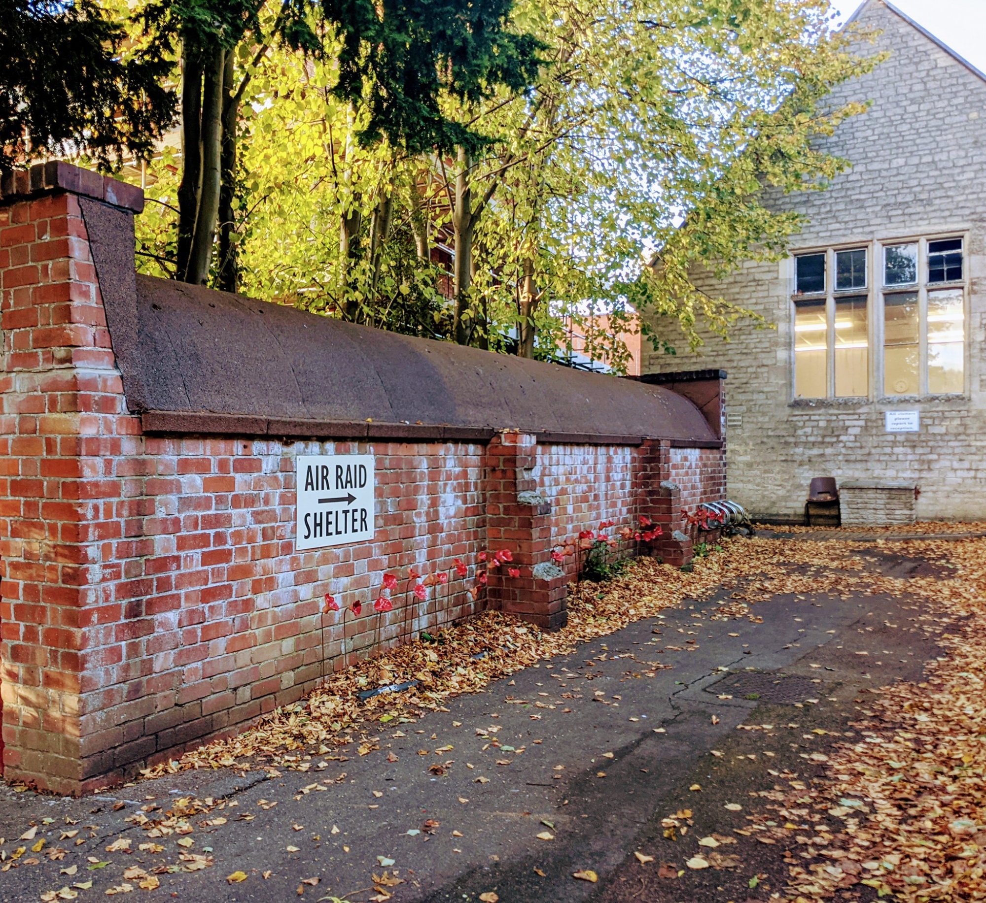 Shelter in the Autumn